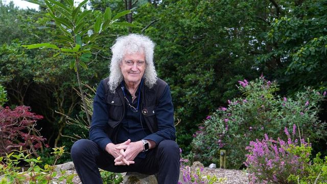 Sztrókot kapott a Queen gitárosa, Sir Brian May