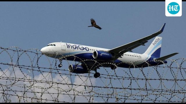 38 IndiGo flights cancelled from Delhi airport amid technical glitch, operational issues