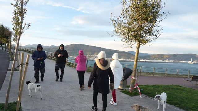 Activado este jueves el aviso amarillo en Euskadi por rachas de viento