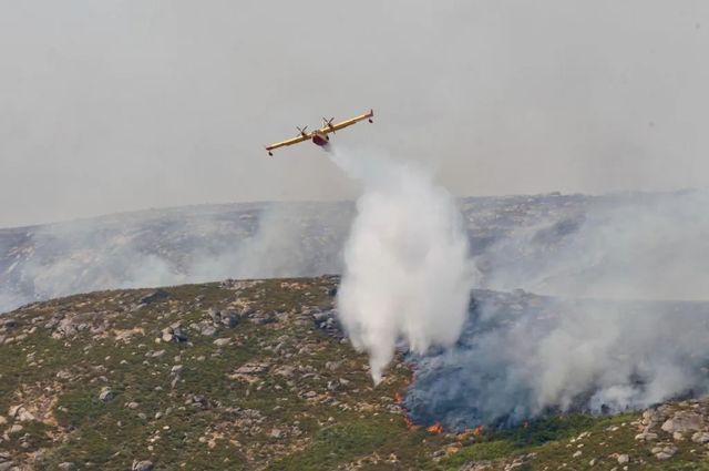 Los incendios de agosto dejan más de 115.000 hectáreas quemadas, tres muertos y miles de desalojados