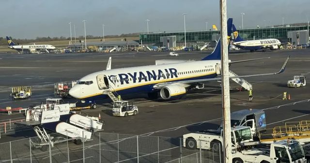 Elon Musk e le mire su Ryanair, sondaggio per comprarla