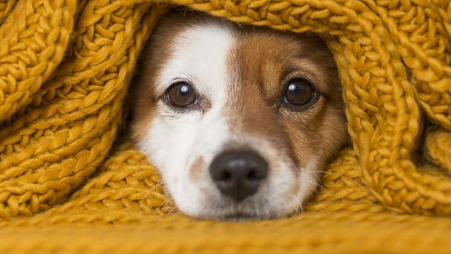 Седмична прогноза за времето за 23-29 март 2026 г.