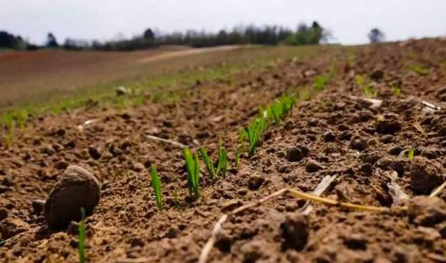 Prețul mediu al terenului arabil din România este mai mare decât în Franța