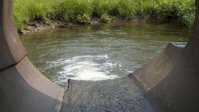 Cómo recuperar un río contaminado