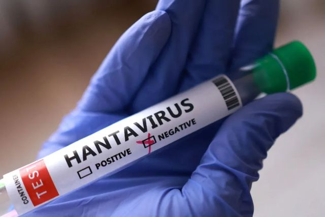 La mujer ingresada en Alicante por posible contagio de hantavirus da negativo en la prueba