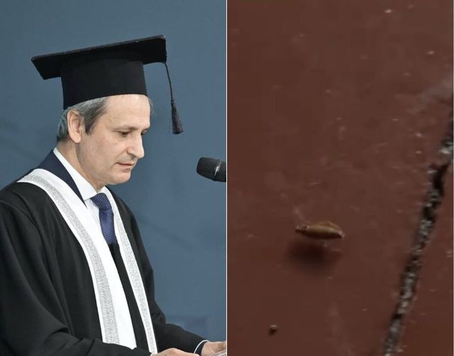 Perciun despre invazia de gândaci într-un cămin al UTM