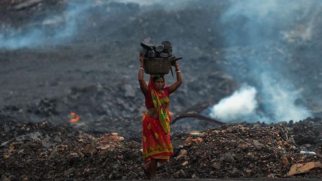 Supreme Court tells Jharkhand to notify Saranda sanctuary