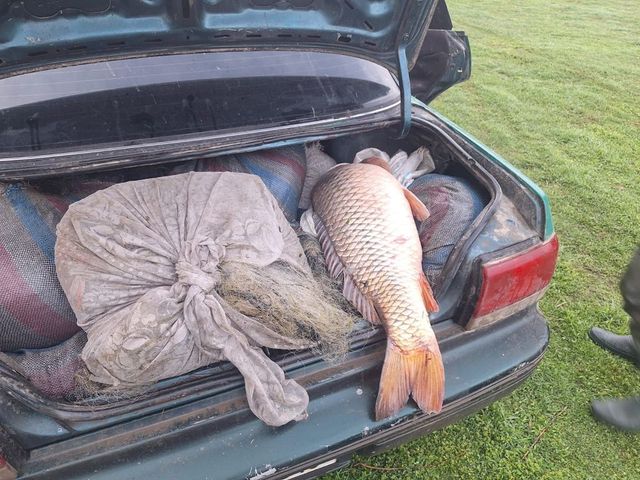Braconaj piscicol, cu prejudiciu de circa 150 de mii de lei, depistat pe lacul Beleu