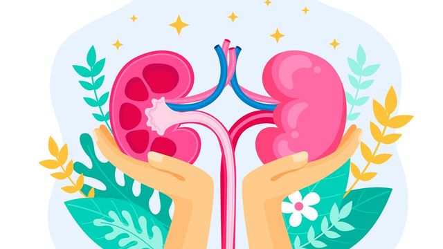 World Kidney Day 2025: Kidney disease symptoms to look out for and when to get treated