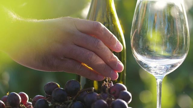 Guvernul neagă existența unui embargo asupra vinurilor moldovenești în Ucraina