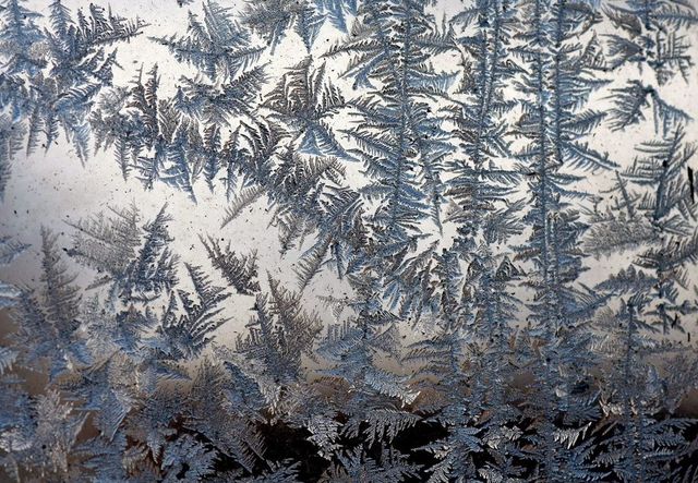 Recomandările IGSU pentru siguranță pe timp de ger