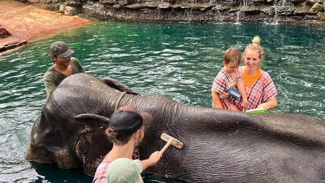 El baño con elefantes, una actividad que triunfa entre los viajeros a Tailandia