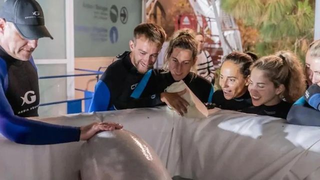 Rescatan dos belugas de un acuario de Ucrania y las trasladan al Oceanogràfic de Valencia