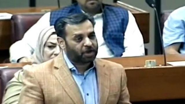 'Indians Are CEOs of Top 25 Companies': Pakistan Lawmaker's Outcry Over India's Global Success | Watch