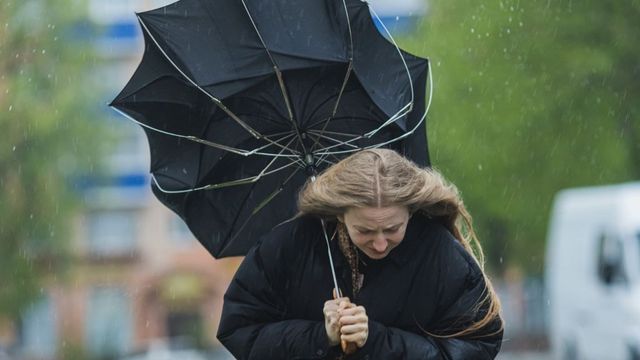 Ураганен вятър причини материални щети във Враца