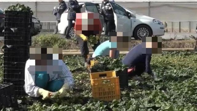 Arrestati i due caporali che schiavizzavano 33 braccianti