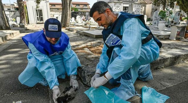 West Nile: quarta vittima nel Lazio, muore anziana ricoverata allo Spallanzani
