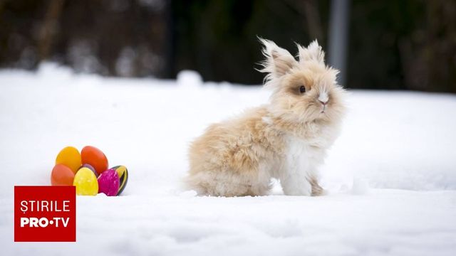 Urmează 3 zile de frig, ploi, lapoviță sau ninsoare în aproape toată țara. Alertă de vreme rea în Capitală