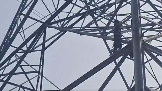 Man Climbs High-Voltage Electricity Pole In Delhi, Rescued