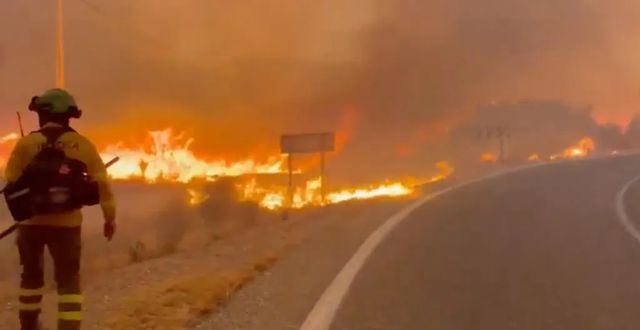12 morți în urma unui incendiu de vegetație din Andaluzia