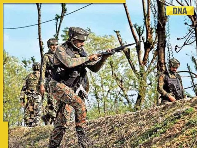 12 Naxals Killed In Encounter Near Maharashtra-Chhattisgarh Border