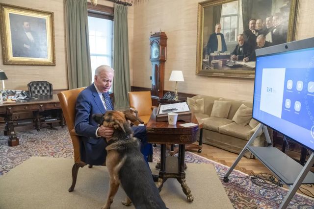 Câinele lui Joe Biden, Commander, a mușcat din nou un agent al Secret Service