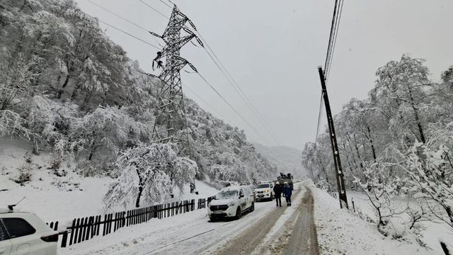 Grupul Electrica a înregistrat în 2025 un profit net record