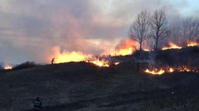 Incendiu întins pe aproape trei hectare de vegetație, în Râmnicu Vâlcea
