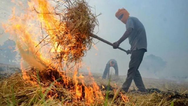 Complete defiance: Supreme Court blasts Punjab, Haryana over Delhi air pollution