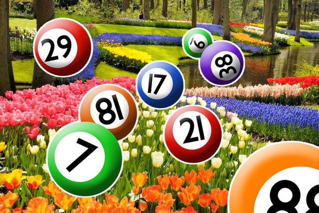 Extrageri Loto 6/49, 5/40 și Joker, joi, 14 mai. Premiile uriașe puse în joc