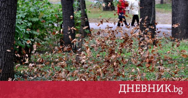 Няма домакинства без ток или пострадали заради вятъра в Столичната община