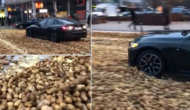 Locuitorii din Bruxelles profită de proteste pentru a colecta cartofii aruncați de fermieri