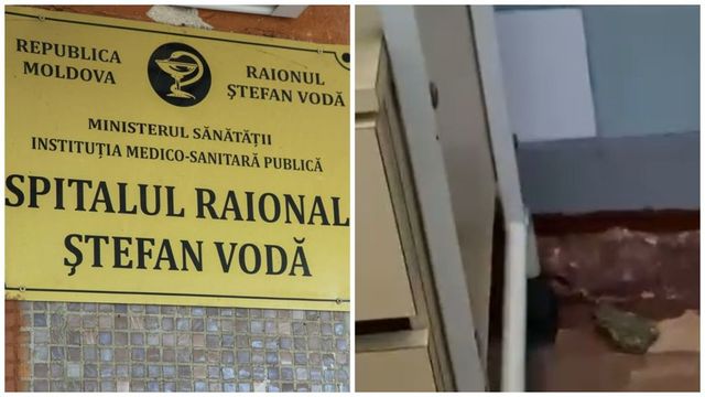Broaște și șoareci la Spitalul Raional Ștefan Vodă: un nou scandal privind condițiile sanitare