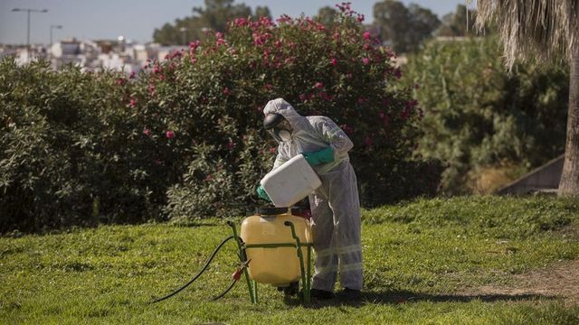 El virus del Nilo provoca la octava muerte en Andalucía, donde se han notificado 87 casos positivos esta temporada