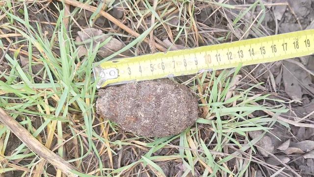 Обезвредиха ръчна граната, намерена в Самоков