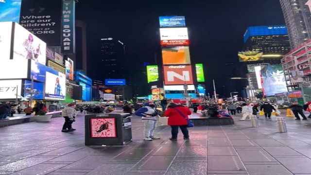 Susan Sarandon, reținută la New York în timpul protestelor față de Netanyahu