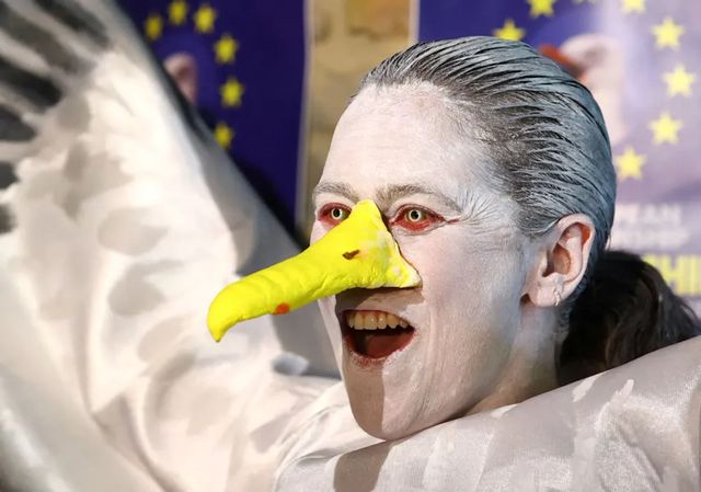 Desde Vigo a Bélgica para quedar subcampeona de Europa en imitación de gaviotas