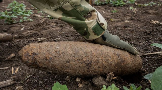 Fába szorult világháborús bombára bukkantak Fejér vármegyében