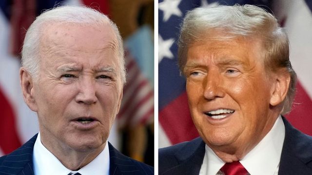 Trump to meet Biden in the White House on November 13