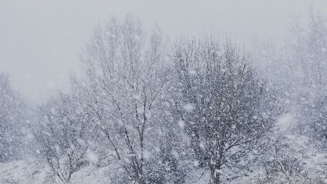 Оранжев код за обилен снеговалеж за почти цялата страна