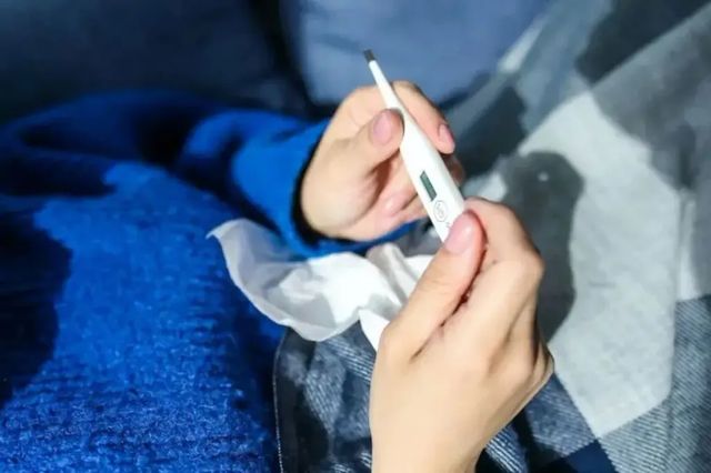 Patru cazuri noi de febră Q – confirmate în Republica Moldova