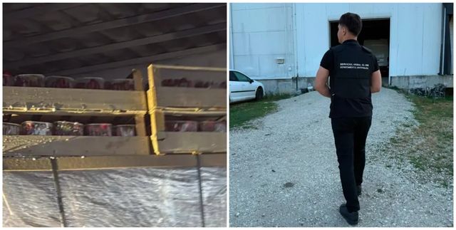 VIDEO Percheziții în nordul țării într-un dosar de contrabandă cu 7,2 milioane de țigări, ascunse în 15 tone de căpșuni