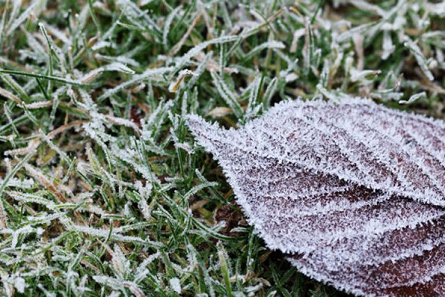 Meteorologii au emis cod galben de înghețuri pe tot teritoriul țării