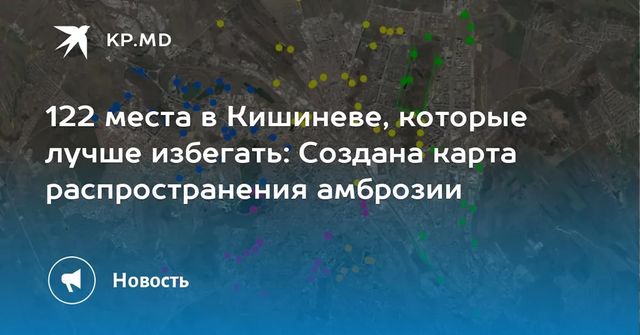 Создана карта распространения амброзии в Кишиневе: всего определено 122 зоны