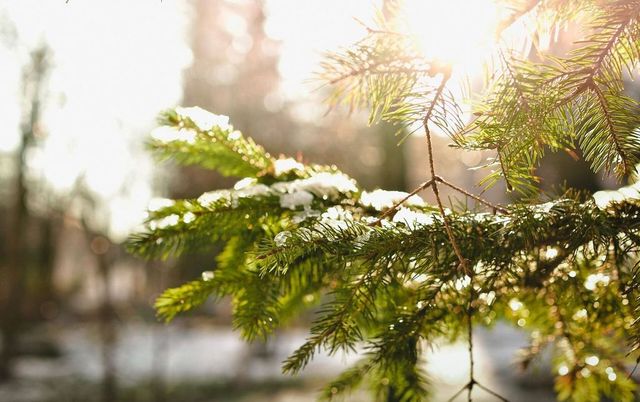 Прогноз погоды на субботу, 13 декабря