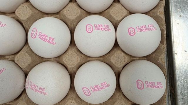 Почти 1,3 млн негодни за продажба яйца върна БАБХ в Турция