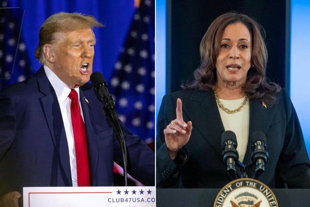 'Harris in vantaggio su Trump in tre Stati in bilico'