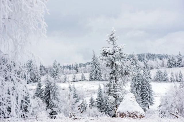 Polul frigului în România. Unde au fost -20 de grade, mai frig decât pe cele mai înalte creste montane