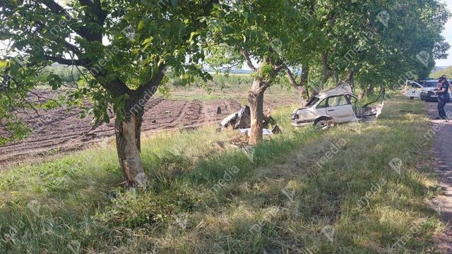 Un polițist de frontieră din Nisporeni a decedat, după ce a pierdut controlul volanului și s-a izbit cu mașina într-un copac