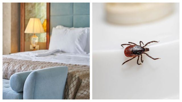 Experiența șocantă a unor români plecați în vacanță, în Bulgaria: „Ne-au dat afară din hotel. Am plecat cu copiii noaptea”